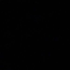 Meet your Posher, Delia